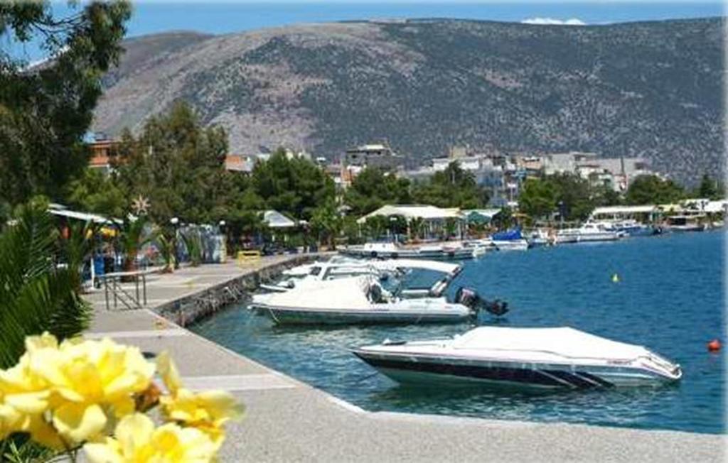 Iridanos Hotell Antikyra Exteriör bild